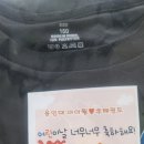 용인대아이원태권도 네이버블로그
