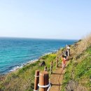함덕초등학교선흘분교 | 제주 대가족 펜션 6-8인숙소 제주감성숙소 제주풀빌라독채 바베큐 불멍