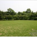 금남멧돼지 이미지