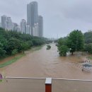 개포이레공인중개사사무소 이미지