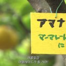 지나리 네이버블로그