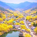 단골집 이미지