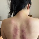 더프린세스스킨앤바디
