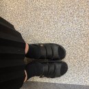 슈올즈 괴정점 이미지