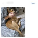 원당동물병원 이미지