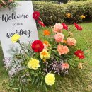 롤링힐스 호텔 | 화성 롤링힐스호텔 웨딩 뷔페 하객 후기