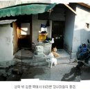 삼선공원 Daum카페
