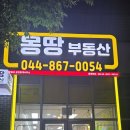 트리풀행복공인중개사사무소 | 세종부동산 추천 세종몽땅부동산 임장 후기