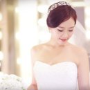 브라이덜베가 이미지