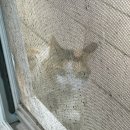 대운산자연휴양림(양산) | 양산 대운산자연휴양림 느티나무 숲속의집 성수기 계곡 꿀팁