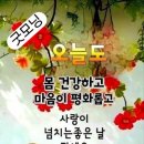 분위기 이미지