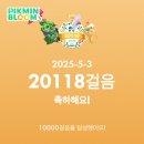 마리블룸 | 2025 피크민 블룸 투어 서울 : 1일차 생생 후기 및 꿀팁