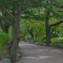 밥도둑게장마을 이미지