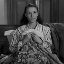 오드리햅번 - 남양주시 | 오드리햅번
