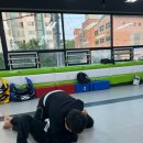 엘원짐 | 일산주짓수 인생의 최고 선택, 엘원짐 주짓수 중산점!