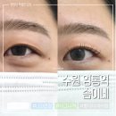 솜이네네일 | 수원 영통역 속눈썹펌 연장 잘하는 곳 '솜이네' 강력추천 솔직 후기