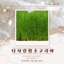 다사랑코리아