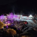 랭글러 네발로 모임 소백산꽃가람야영장 벚꽃계곡 애견캠핑 대관후기