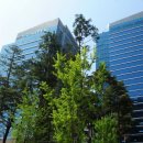 G밸리공인중개사사무소 이미지