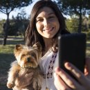 봄 동물병원 이미지