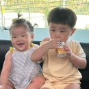 서구보건소(3) | 인천 서구보건소 영양플러스 접수 후기
