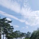 다음매일투어/산악회