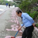 피고지고