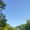 이복화 소머리국밥집 이미지