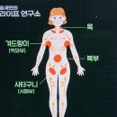 림프순환 마사지 이미지