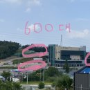 옥계2공단로11L-18 | [결혼 준비 : 웨딩홀] 구미 BW웨딩 피에스타 홀 계약 후기