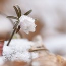 산이있는 풍경 이미지