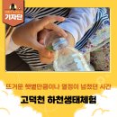하천 | [강동구 기자단] 폭염에도 아이들과 신나게! &#39;고덕천 하천생태체험 프로그램&#39; 후기