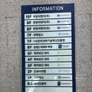 네일드보라 이미지