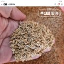 신진정미소 이미지