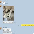 야외 웨딩촬영 비용 경주 영춘 필름 후기/ 컴히얼 스튜디오 연계/대구 꽃집 웨딩촬영 부케
