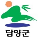 담양군청 티스토리