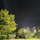 서일화성 | 리베라cc 야간 라운딩 후기(+총정리) / 경기남부골프장추천