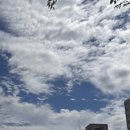 0909-0006 네이버블로그