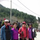 상록체육관 이미지