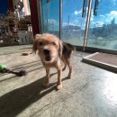 너와함개냥 이미지