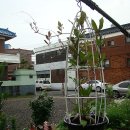 하늘정원 이미지