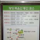 오동도2