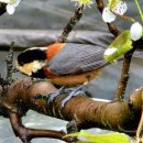 일동농장 이미지