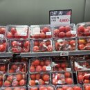 장보고식자재마트()주 - 달서구 월배로23길 101 | 장보고식자재마트()주