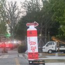 비치웨이 | 양천구 신목동역 맛집 중식당 웨이 방문 후기
