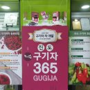진도구기자