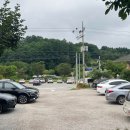 쌍둥이네 애견 이미지