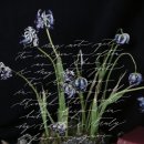 영문 모던 캘리그라피 2 이미지