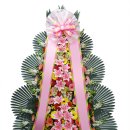 태성웨딩문화센터 이미지