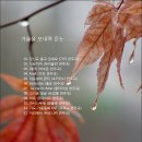 당신도 울고 있네요/기타 연주곡 외 11곡 이미지